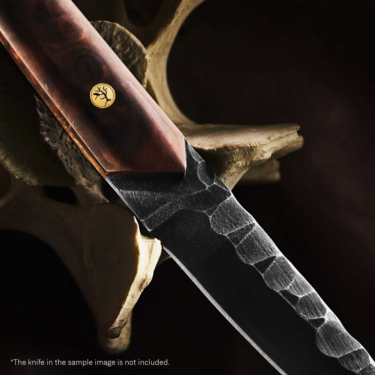 {{ mosaic pin }} - {{ mosaus }} {{ edm_pin }} {{ usa_mosaic pin }} {{ usa_edm pin }} {{ knife_makers }} {{ knife_pin}} {{ mosaicpin_shop }} {{ knife_pin }} {{ knife_mate}}